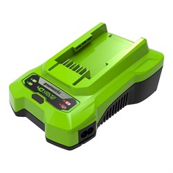 Зарядное устройство GREENWORKS 40 V   2932507 2932507 - фото 9491